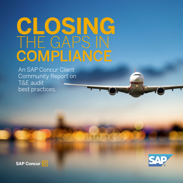 Cover image of SAP Concur ebook